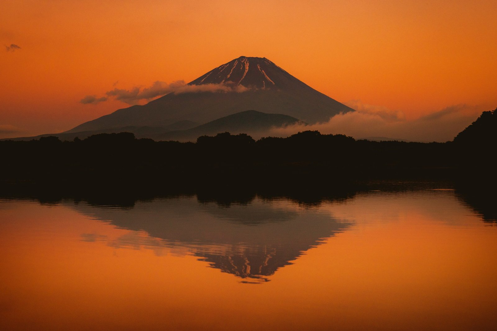 joshua-earle-LZBFeDZws6E-unsplash